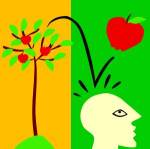 Where Do Ideas Come From